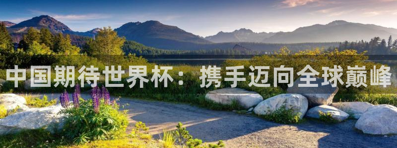 中国期待世界杯：携手迈向全球巅峰